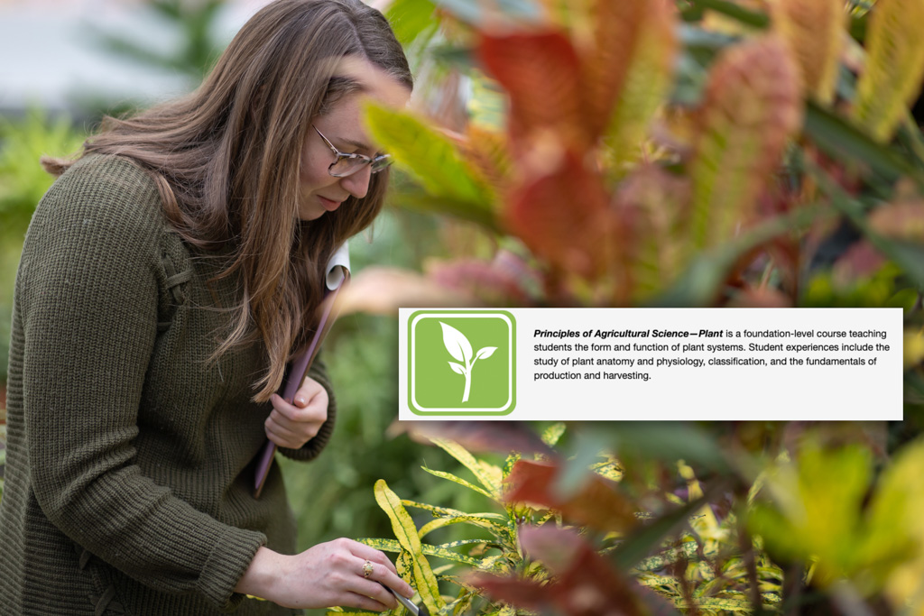 Student with clipboard and pen studying green plants in the greenhouse.  Photo is overlayed with a graphic about CASE Agricultural Plant Sciences that also contains text about what that institute is abou.